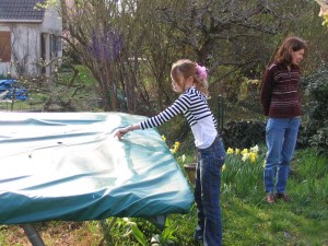 Ce matin un lapin Ce matin un lapin