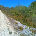 Die ou talant Gauche Die ou talant Gauche