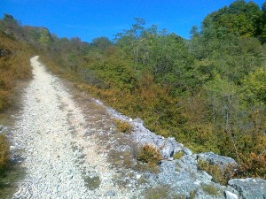 Die ou talant Gauche